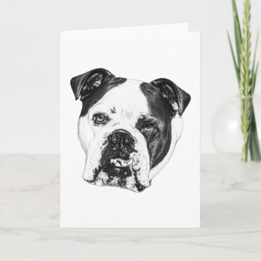 Carte vœux bouledogue Bright Wish (Devant)