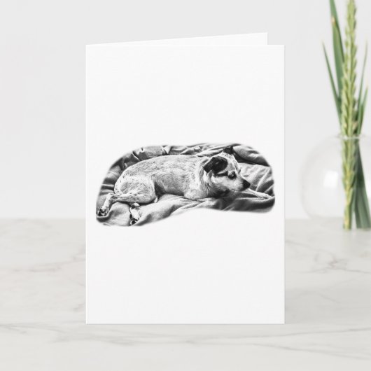 Carte Vœux chaleureux d'un chiot vigilant (Devant)