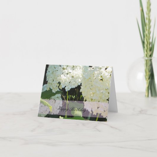 Carte Vœux d'anniversaire avec une Hydrangea blanche (Devant)