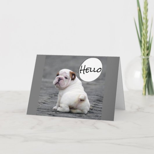 CARTE ***VOEUX D'ANNIVERSAIRE DE BULLDOG*** (Devant)