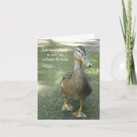 Carte Vœux d'anniversaire de canard errant (Devant)