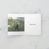 Carte Vœux d'anniversaire de canard errant (Intérieur)