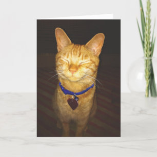 Carte Voeux d'anniversaire de Chat