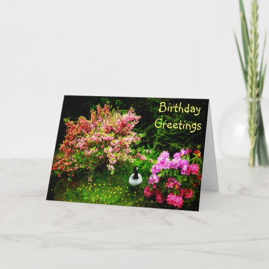 Carte Voeux d'anniversaire - Oie (Devant)