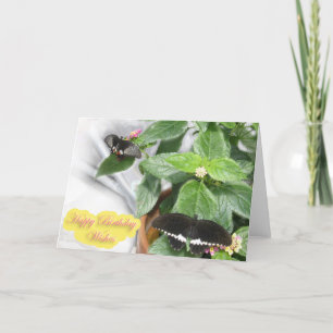 Carte Voeux d'anniversaire - Papillon