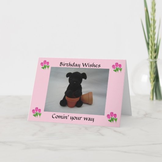 Carte Vœux d'anniversaire pour chiots (Devant)