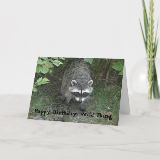 Carte Voeux d'anniversaire - Raccoon (Devant)