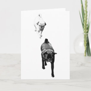 Carte Vœux de chaleur, duo de chiens gentils