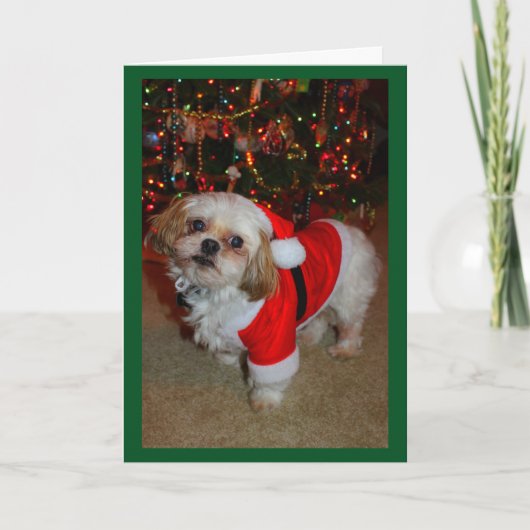 Carte Voici Santa Paws! (Devant)