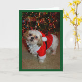 Carte Voici venir Santa Paws! (Fleur jaune)