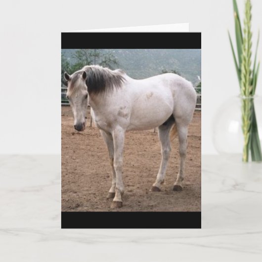 Carte Voie de jeu (Devant)