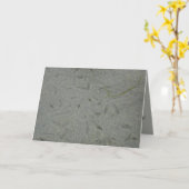 Carte Voies (Fleur jaune)