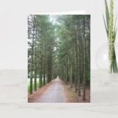 Carte Voies (Devant)