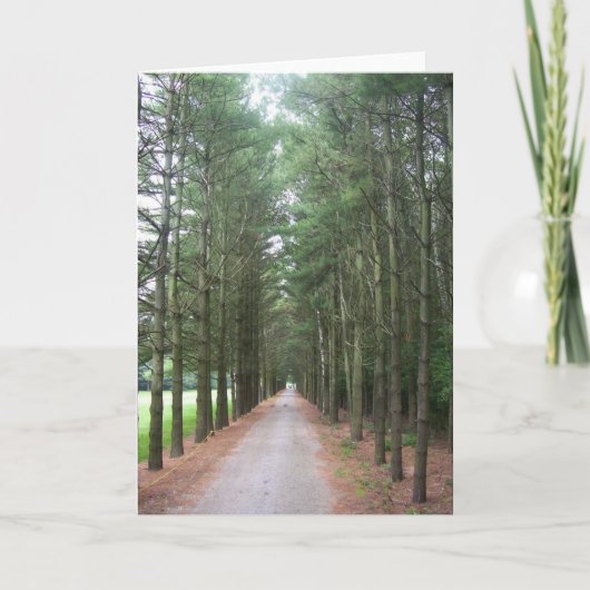 Carte Voies (Devant)