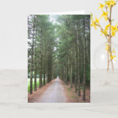 Carte Voies (Fleur jaune)