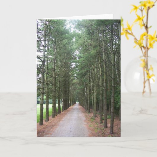 Carte Voies (Fleur jaune)