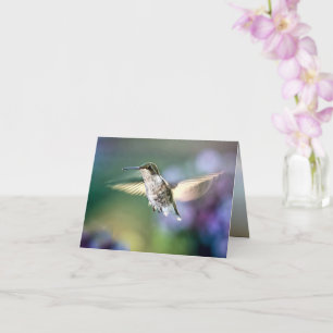 Carte Vol de colibri