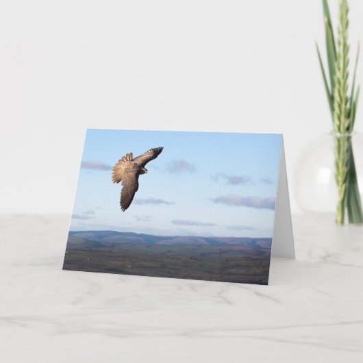 Carte Vol de faucon (Devant)