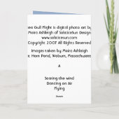 Carte Vol de mouette (Dos)