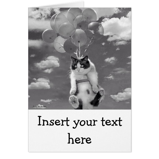 Carte : Vol drôle de chat avec des ballons (Devant)
