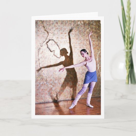 Carte Vol du cygne 3 - avec la frontière (Devant)