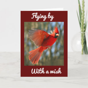 CARTE **VOL PAR POUR DIRE** ANNIVERSAIRE *MEILLEUR À JAM