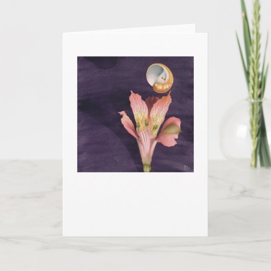 Carte Voler étoilé (Devant)