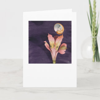 Carte Voler étoilé