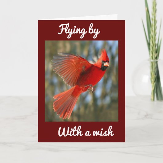 CARTE **VOLER POUR DIRE** ANNIVERSAIRE *MEILLEUR JAMAIS* (Devant)