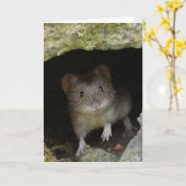 Carte Volet bancaire (Fleur jaune)