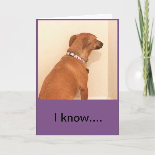 Carte Votre anniversaire m'a manqué - Je suis désolé (Devant)