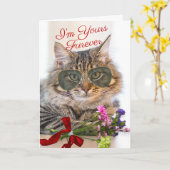 Carte Votre Furever Valentine's Day magnifique Chat (Fleur jaune)