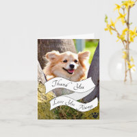 Votre propre Merci de message chien