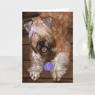 Carte : "Voulez jouer ? "