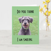 CARTE VOUS AVEZ 1 AN DE PLUS, PAS MOI (Fleur jaune)