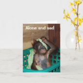 Carte Vous avez baisé et vous avez maquillé (Fleur jaune)