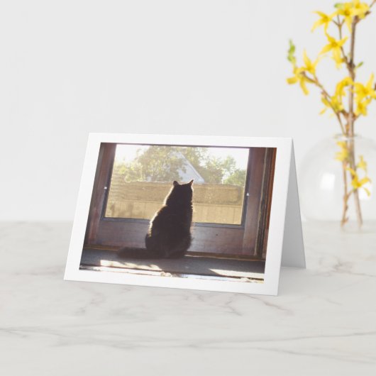 Carte Vous avez manqué (Fleur jaune)