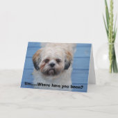 Carte Vous avez manqué (Devant)