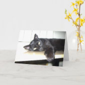 Carte Vous avez manqué (Fleur jaune)