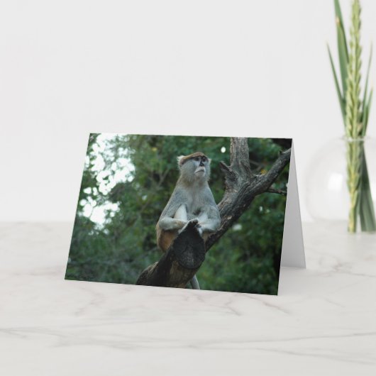 Carte Vous avez manqué (Devant)