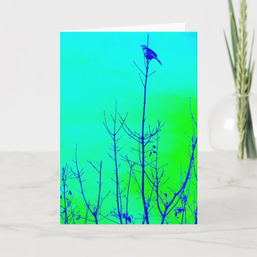 Carte Vous avez manqué (Devant)