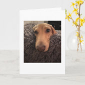 Carte Vous avez oublié MillieGram (Fleur jaune)