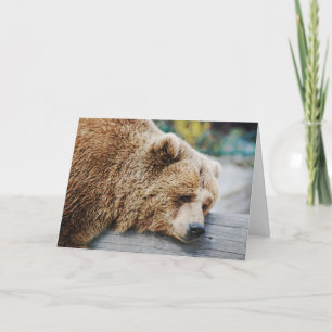 Carte Vous avez perdu l'Humour de l'ours triste