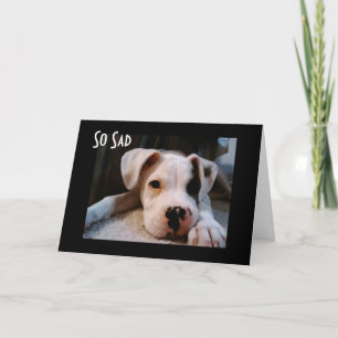 CARTE VOUS CHERCHEZ À ÊTRE "40"