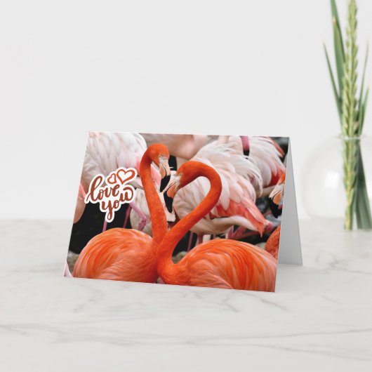 Carte Vous Deux Beaux Oiseaux Flamants  (Devant)