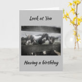 CARTE VOUS DEVEZ ÊTRE "KIDDING" VOUS NE POUVEZ PAS ÊTRE  (Fleur jaune)