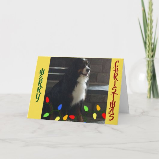 CARTE ***VOUS ÉCLAIREZ MA VIE*** JOYEZ L'AMOUR DE NOËL ! (Devant)