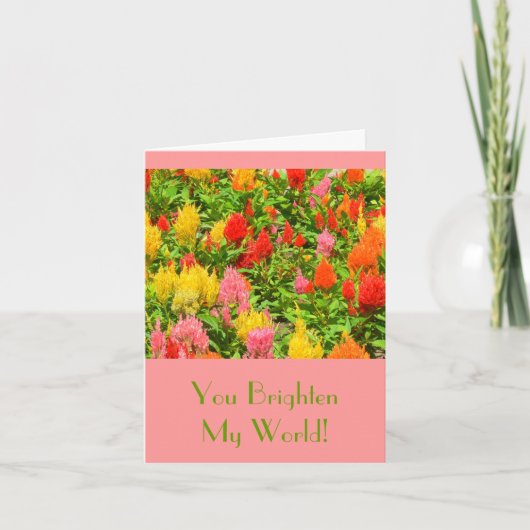 CARTE "VOUS ÉCLAIREZ MON MONDE" /ANNIVERSARY (Devant)