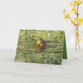 Carte Vous envoyer des câlins (Fleur jaune)