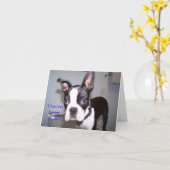 Carte Vous êtes combien vieux ? ! (Fleur jaune)